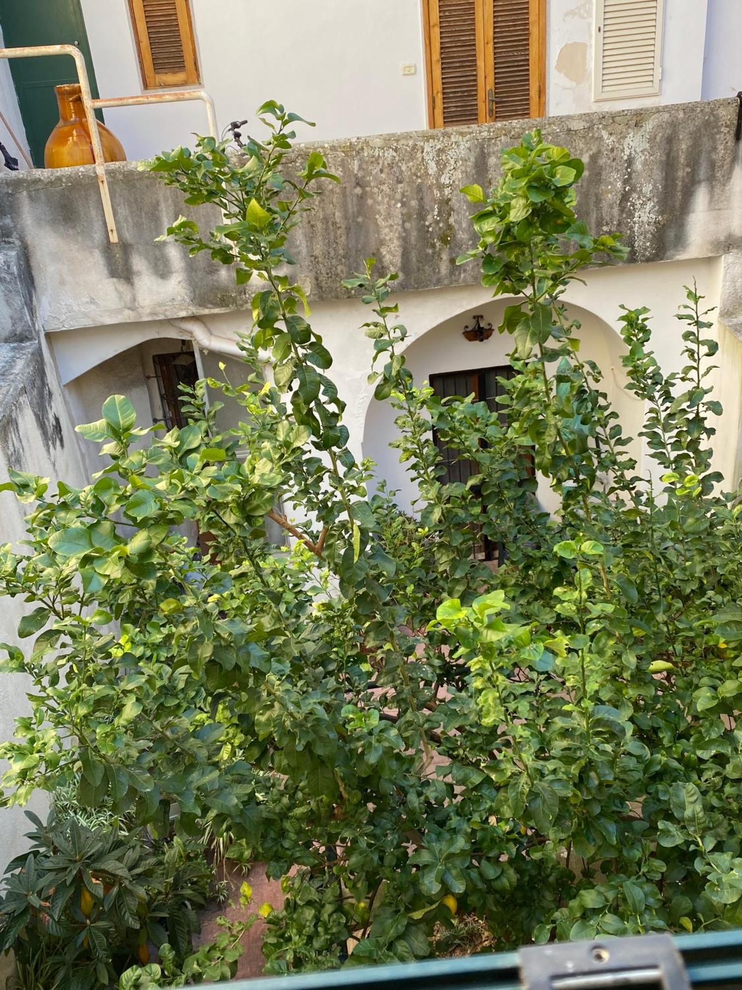 Casetta Zia Tetti Lecce Exterior foto